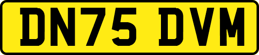 DN75DVM