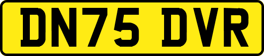 DN75DVR