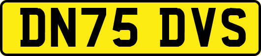 DN75DVS