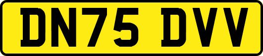 DN75DVV