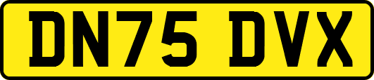 DN75DVX