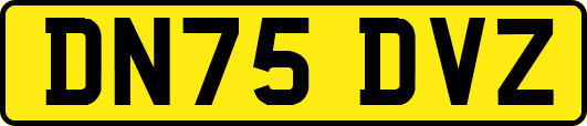 DN75DVZ