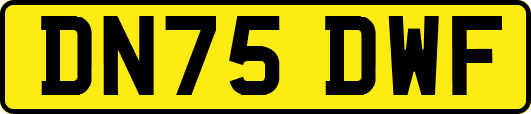 DN75DWF