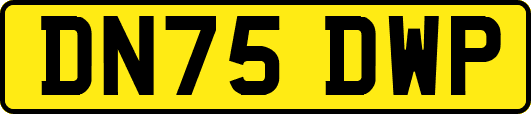 DN75DWP