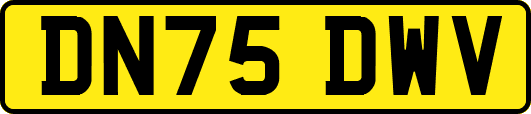 DN75DWV