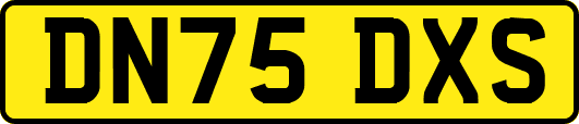 DN75DXS