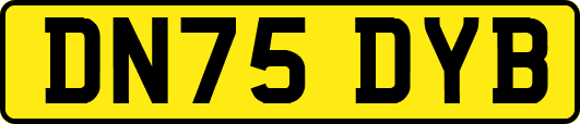 DN75DYB