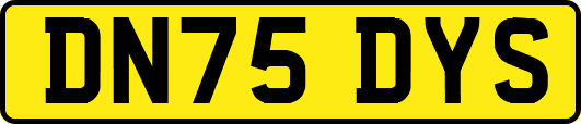 DN75DYS