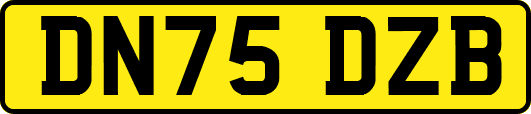 DN75DZB