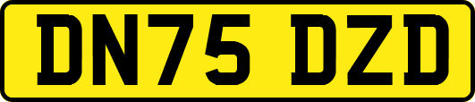 DN75DZD