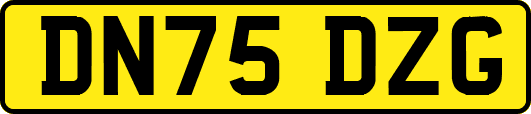 DN75DZG