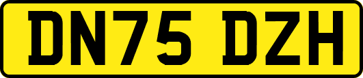 DN75DZH