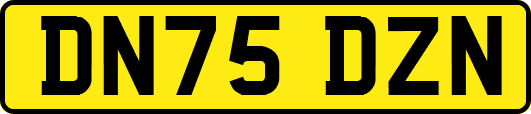 DN75DZN