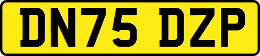 DN75DZP