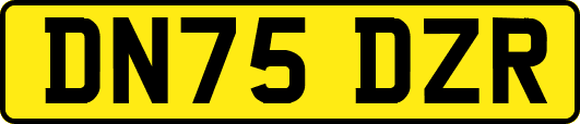 DN75DZR
