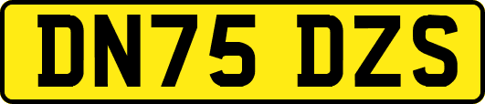 DN75DZS