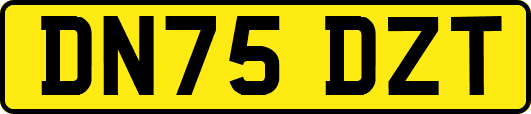 DN75DZT