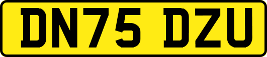 DN75DZU
