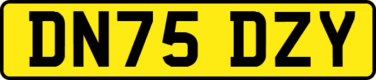 DN75DZY