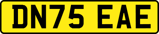 DN75EAE