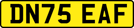 DN75EAF