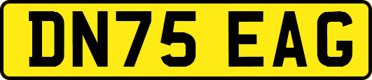 DN75EAG
