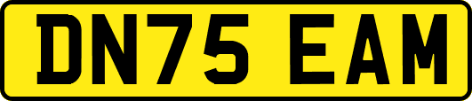 DN75EAM