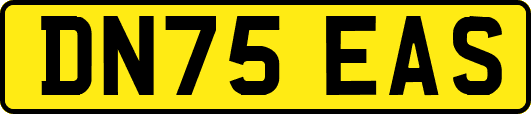 DN75EAS