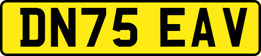 DN75EAV