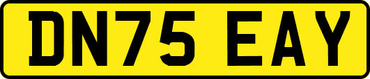 DN75EAY