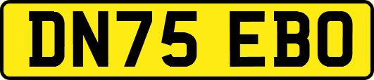 DN75EBO