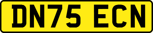 DN75ECN