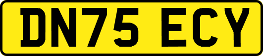 DN75ECY