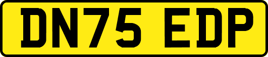 DN75EDP