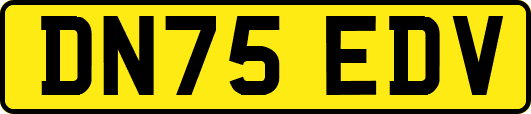 DN75EDV