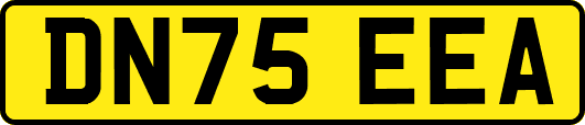 DN75EEA