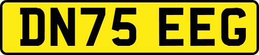DN75EEG