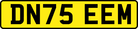 DN75EEM