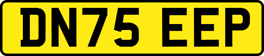 DN75EEP