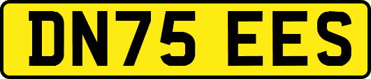 DN75EES