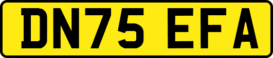 DN75EFA