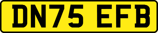 DN75EFB