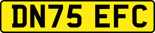 DN75EFC