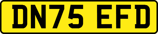 DN75EFD