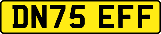 DN75EFF