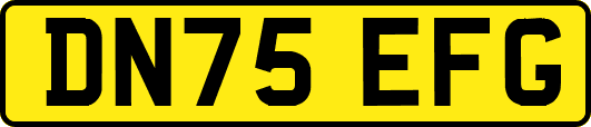 DN75EFG