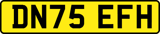 DN75EFH