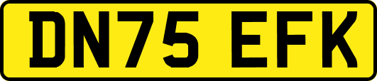 DN75EFK