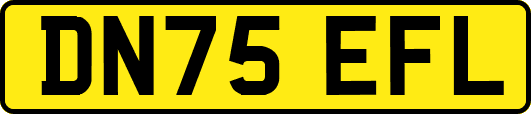 DN75EFL
