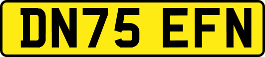 DN75EFN